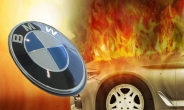 [TAPAS 빅데이터분석] 화재는 ‘BMW 팬심’을 어떻게 바꿨나