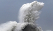 간사이 공항 폐쇄에 유조선 충돌까지…일본 태풍 제비 ‘포비아’