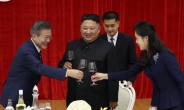 [평양 남북정상회담] 美, 비핵화 가이드라인 제시…“김정은, 약속 이행 역사적 기회”