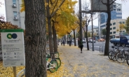 [뉴스탐색]‘가을 골칫덩이’ 낙엽…‘치워도 치워도’ 쌓이는 민원