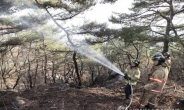 인왕산 산불 완전진압…1시간여만에 200㎡ 피해