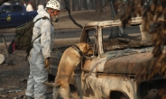 ‘역대 최악’ 캘리포니아 산불 사망자 76명…실종 무려 1300명 달해