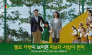 DB손보 ‘옐로카펫’ 캠페인 CF