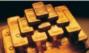“원자재가격 상승가능성…금ㆍ원유 투자 매력적”