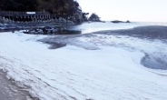 부산 앞 바닷물도 꽁꽁 얼었다…한파, 오는 10일부터 풀린다