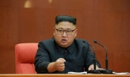 北 김정은 신년사에 비핵화·답방 메시지 담길까?