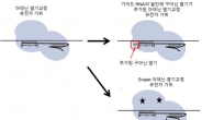 염기교정 유전자가위 정확성 입증…난치성 유전질환 치료 기대