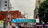 10년새 서울 외국인 지각변동…중국인 줄어들고 영등포ㆍ구로 집중화 심화