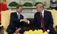 트럼프 6월 하순 한국 온다…文대통령과 비핵화 협의(종합)