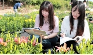 한국농수산대학, 아시아틱 (분화ㆍ조경용)백합 국산화 앞장