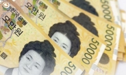 ‘열살’5만원권…100조는 어디에 숨었나