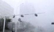 장마태풍 '다나스' 토요일 남부 관통…최고 700mm 물폭탄