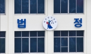 여성 차주 하차요구 무시…대리운전 기사 징역 8월·집유 2년