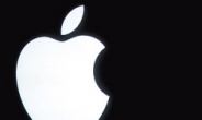 애플 매출 1% 늘었는데…시장은 “낙관적”