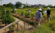 “한국땅서 답 찾더라”…해외에 이식되는 韓 부동산 제도