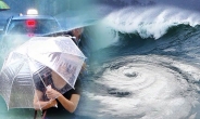 대형 태풍 '크로사' 일본 상륙…7000명 대피·16명 부상
