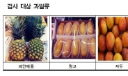서울시 “국내·수입산 과일 안심하고 드세요”