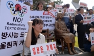 불매운동 현실화, 8월 日 나리타공항 입국 한국인 35% 감소
