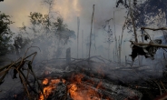 ‘아마존 산불’이 고발하는 ‘오늘의 세계’…난개발·부패범죄·포퓰리즘이 지구의 허파를 태운다