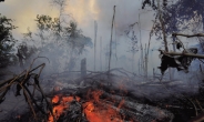 불타는 아마존…‘검은 속’ 드러난 오늘, 지구촌
