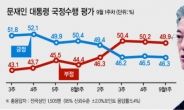 ‘조국 태풍’ 속…文 대통령 지지도 3주째 46%대