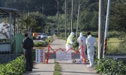 파주 이어 연천서도 아프리카돼지열병 의심 신고