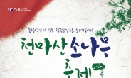 ‘천마산 소나무 축제’ 28일 개최