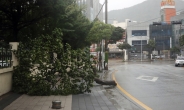 태풍 ‘타파’ 제주 동쪽 바다 통과…밤 10시 부산 최근접