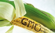 눈길도 안주던 GMO…2050년엔 ‘손이 갈 수 밖에 없는’ 대세