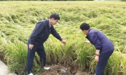 울산농협, 농촌 태풍피해지역 및 돼지열병 방역현장 점검