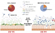 콜레라균에 대항하는 장(腸)내 미생물종 첫 규명