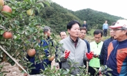 [헤럴드포토] 김병원 농협중앙회장 경북 영덕 축산면 사과농장을 찾은 김병원 농협중앙회장…“태풍피해 복구 가용수단 총동원”