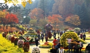 국향의 매혹, 춤추는 단풍···청남대, 12회‘국화축제’ 개막