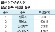 선거의 계절…손타는 정치인 테마주