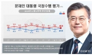 文대통령 지지율 47.8%로 급등…민주당과 ‘쌍끌이 상승’