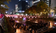 ‘2019 서울빛초롱축제’ 230만 관람…외국인 30% 증가