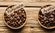 2040년 아라비카·로부스타 커피 멸종 위기