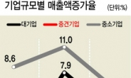 ‘경제허리’ 중견기업이 못 자란다