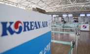 대한항공, 한국인 동성부부 ‘가족’인정…마일리지 ‘합산’ 허용