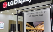 LG디스플레이 ‘롤러블 OLED’ 기술대상 대통령상