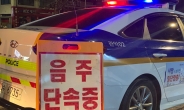 경찰, 서울서 집중 음주단속 실시하자 하루에 31건 ‘우르르’
