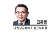 [기고-김준동 대한상공회의소 상근부회장] ASEAN과의 새로운 30년을 기약하며