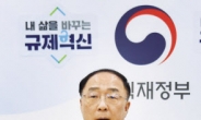 홍남기 부총리 신년사 “경제활력·구조개혁·포용확산 ‘세토끼’ 잡겠다”