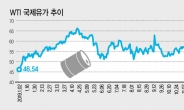 중동발 유가 꿈틀…속타는 항공업계