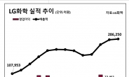 LG화학 “올해 전지 사업 매출 성장 …지난해 수익성 부진 만회”