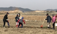 대구 달성군, 신당수박마을 주말농장 텃밭 분양