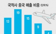 [신종 코로나 초비상] 중국 하늘길 결국 막혔다