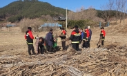 제2 고성 산불은 NO..논·밭두렁 소각 선제차단