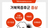 광동한방병원 “두통까지 유발하는 거북목, 교정방법은?”