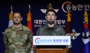 ROK-US military drills delayed amid virus concerns